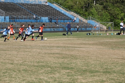 IMG 1227 (Large)