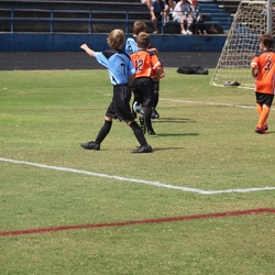 Carolina Blue Fall 2024